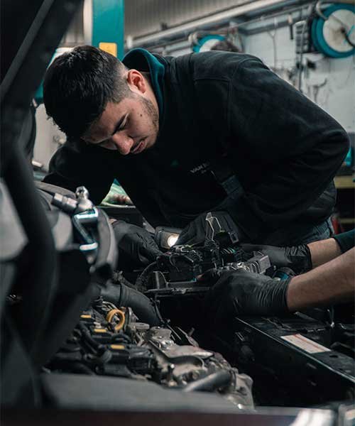 Battery & Alternator
